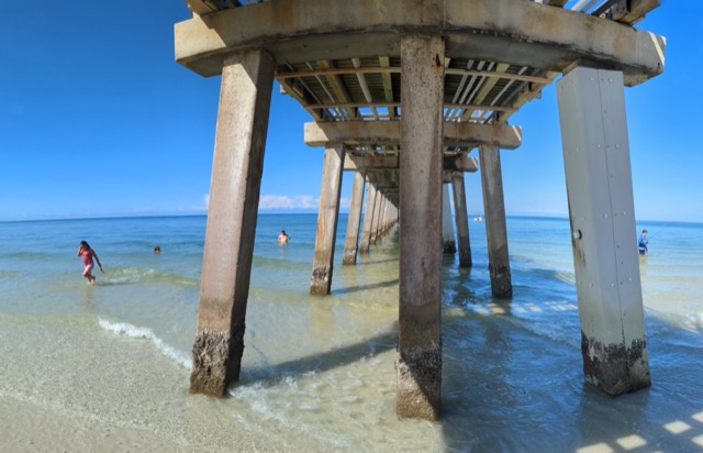 Under the Naples Pier